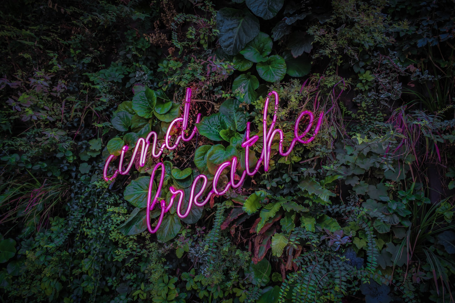 The-Benefits-of-Breath-Work